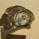 Illustration for article titled The Worlds Most Awkward Taxidermy
